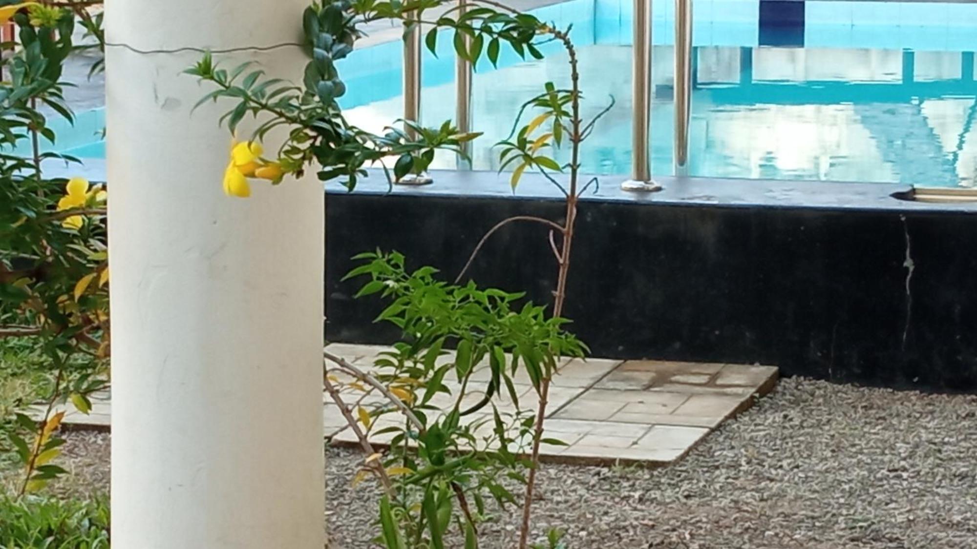 مبيت وإفطار Share Safari House اوداوالاوي المظهر الخارجي الصورة